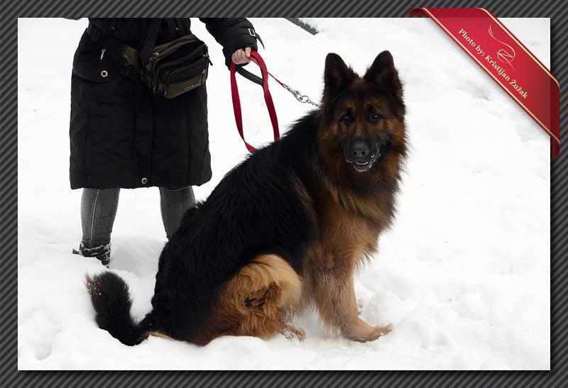 Galerija - Rad na ruševinama